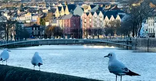 আয়ারল্যান্ডের আবাসন সংকট; মাথা গোঁজার ঠাঁই পেতে হিমশিম জনসাধারণ